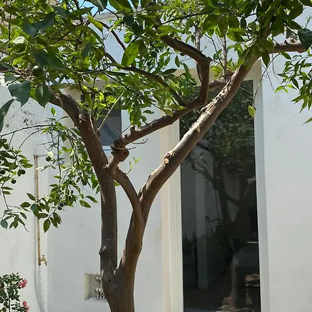 Pensión Small House